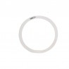 12" (1") ANEL BRANCO PADDLE DRIVE