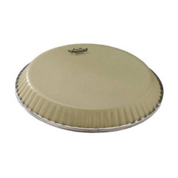 10" QUINTO NUSKYN LATIN ASPIRE 30.48 CM