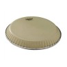 10" QUINTO NUSKYN LATIN ASPIRE 30.48 CM
