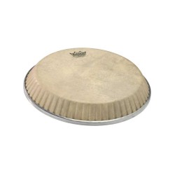 10" QUINTO SKINDEEP LATIN ASPIRE 30.48