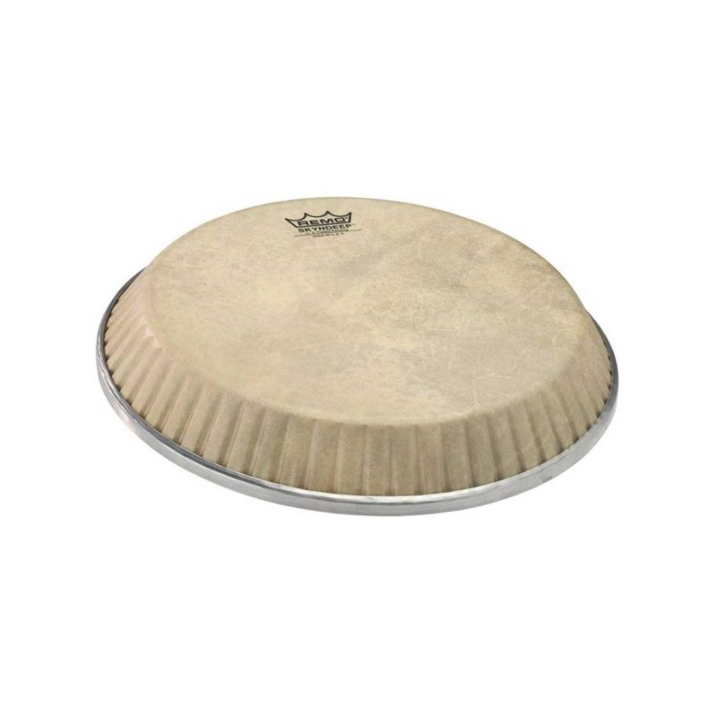 10" QUINTO SKINDEEP LATIN ASPIRE 30.48