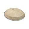 10" QUINTO SKINDEEP LATIN ASPIRE 30.48